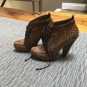 BCBG Leopard Booties